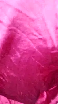 Kitty Doll69 online show from November 4, 2025, 7:46 pm