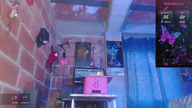 assbignatha online show from February 8, 2026, 2:20 pm