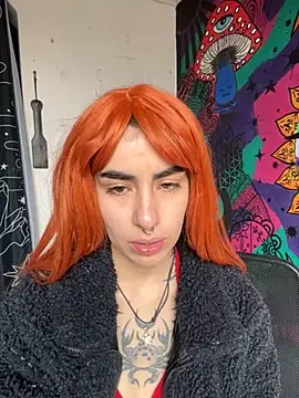  Artemisa X online show from November 5, 2025, 1:33 pm