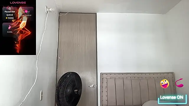 bob petterson online show from November 12, 2025, 4:07 pm