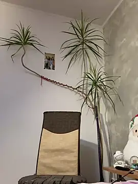 derek1494 online show from January 9, 2026, 9:27 pm