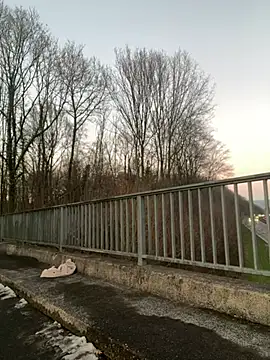 Snapshot of NickyGold_Official chatting on January 18, 2025, 4:10 pm NickyGold Official online show from January 18, 2025, 4:10 pm