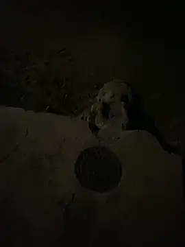 nowex18 online show from March 6, 2025, 6:52 am