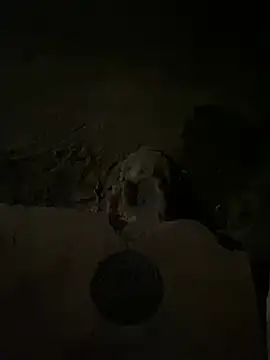 nowex18 online show from March 14, 2025, 5:48 am