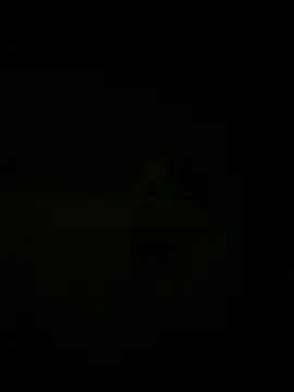 nowex18 online show from March 18, 2025, 5:41 am