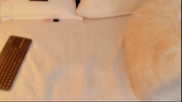 FabianPriince online show from January 14, 2025, 6:28 pm