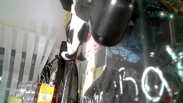 0815lukas2024 online show from September 9, 2025, 9:14 pm