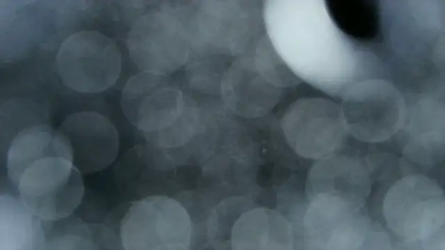 0815lukas2024 online show from December 22, 2025, 3:58 am