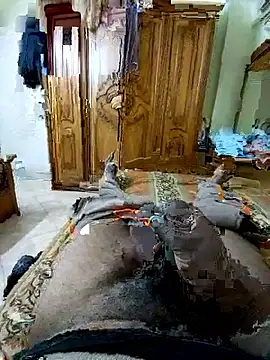 ListedLoin online show from March 14, 2026, 9:15 am