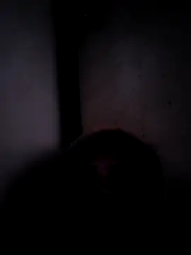 ListedLoin online show from March 17, 2026, 3:55 am