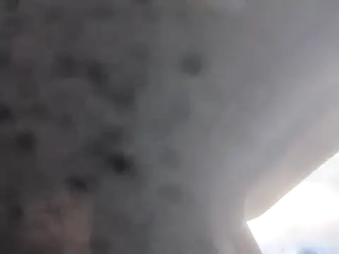 jwiththethickone413 online show from November 6, 2025, 4:41 pm