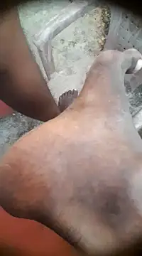 Tamil boy age28 online show from January 14, 2025, 12:24 pm