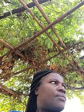 missarpie online show from January 15, 2026, 11:37 am