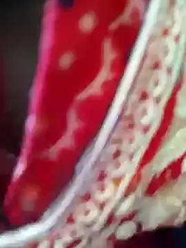 Snapshot of Bengoli--bhabhi chatting on February 22, 2025, 4:18 am Bengoli--bhabhi online show from February 22, 2025, 4:18 am