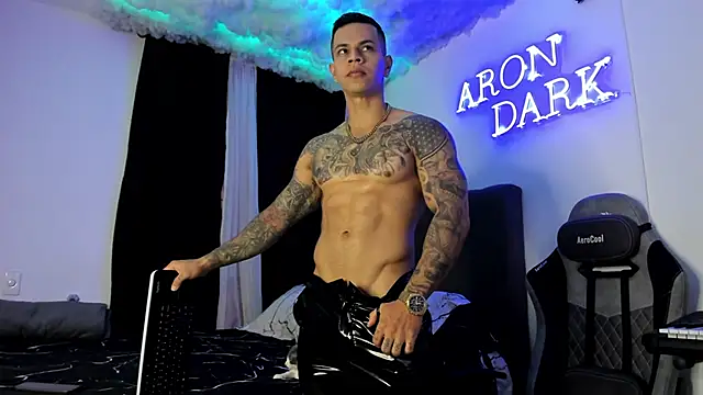 Snapshot of Aron_Dark chatting on February 20, 2025, 11:42 am Aron Dark online show from February 20, 2025, 11:42 am