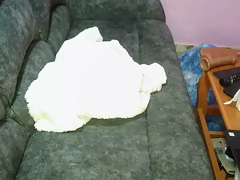 petitev online show from November 4, 2025, 9:41 am