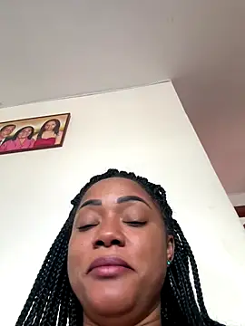 Noviostoxico online show from November 26, 2025, 4:41 pm