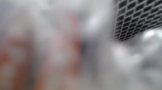 Lovensetest online show from February 26, 2025, 7:09 am