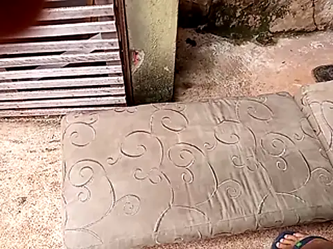 Snapshot of wel9238 chatting on February 25, 2026, 4:38 pm wel9238 online show from February 25, 2026, 4:38 pm