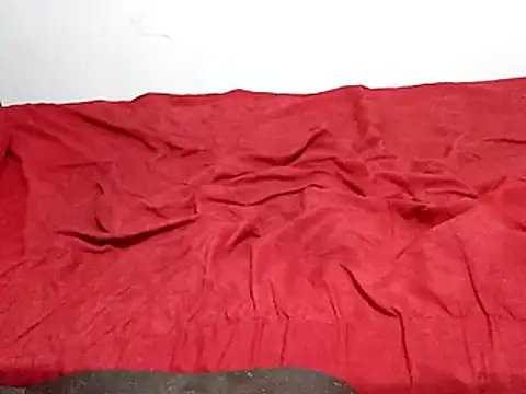 Snapshot of wel9238 chatting on March 1, 2026, 1:51 am wel9238 online show from March 1, 2026, 1:51 am