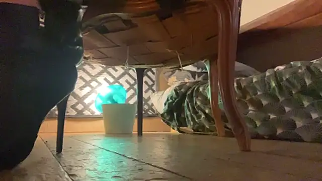 alexheels boots online show from November 29, 2025, 4:04 am