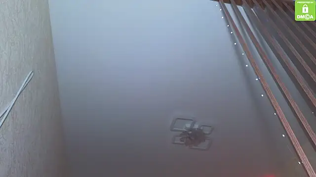 Snapshot of Katy_perry_ chatting on November 27, 2025, 3:52 am Katy perry online show from November 27, 2025, 3:52 am