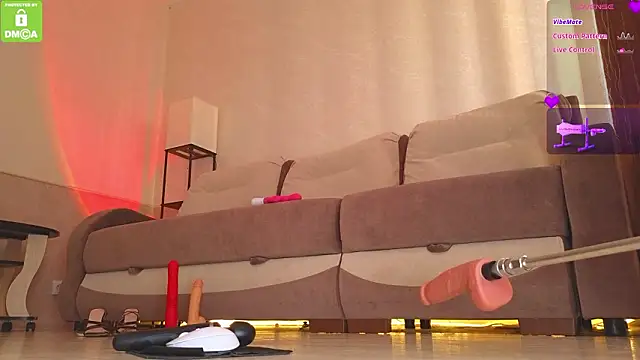 Katy perry  online show from February 13, 2026, 2:40 am