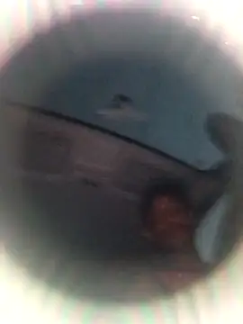 Ursonego online show from October 3, 2025, 10:07 pm