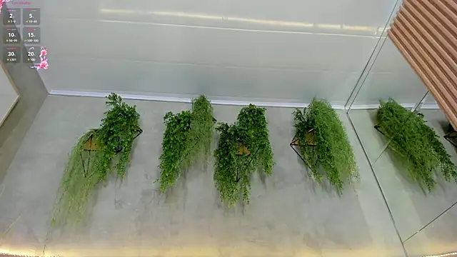 Lana Lann online show from March 15, 2025, 3:06 pm