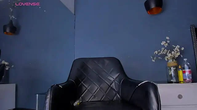 Snapshot of Bryson_Collins_ chatting on March 14, 2025, 8:32 am Bryson Collins online show from March 14, 2025, 8:32 am