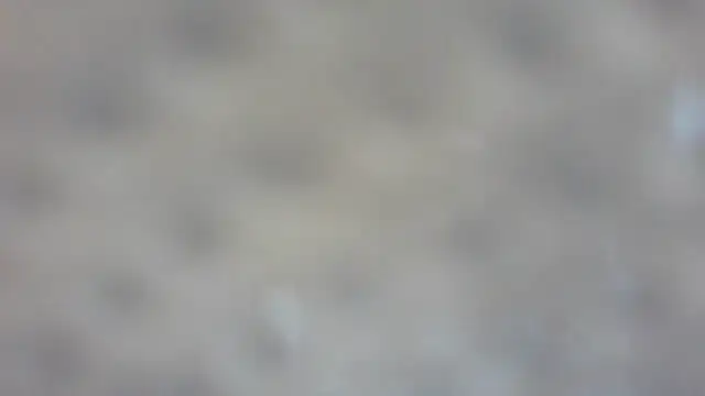 RoseRed69 online show from October 25, 2025, 3:14 am