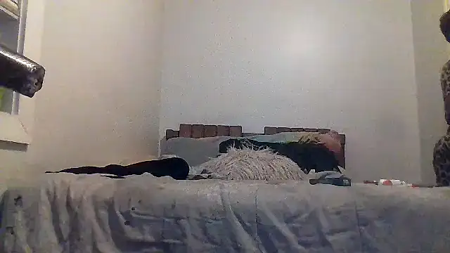 AllLeggs online show from March 20, 2026, 3:33 am