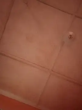 bebsexy online show from December 14, 2025, 12:54 pm