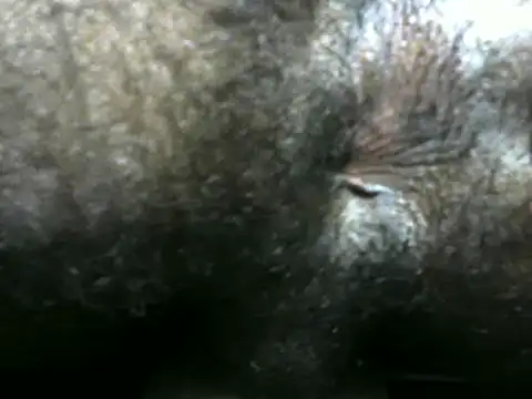 Snapshot of michel_sc chatting on December 9, 2024, 4:12 am michel sc online show from December 9, 2024, 4:12 am