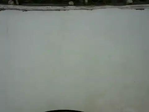 Snapshot of michel_sc chatting on January 30, 2025, 8:43 am michel sc online show from January 30, 2025, 8:43 am