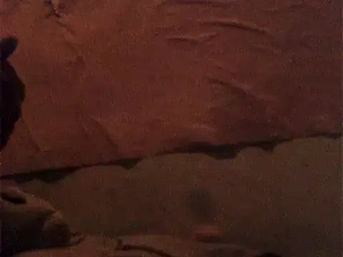 amandatalita online show from February 27, 2025, 7:44 am