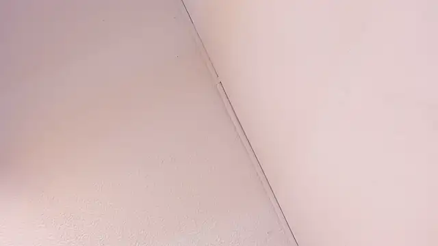 Snapshot of Black_Rose2 chatting on March 1, 2026, 11:45 am Black Rose2 online show from March 1, 2026, 11:45 am