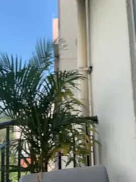 Pretty Isadora online show from February 4, 2026, 8:03 pm