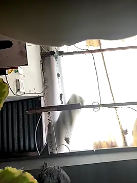 luna asss online show from October 25, 2025, 7:30 pm