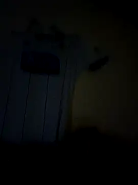 Snapshot of everyoneneeds chatting on December 3, 2024, 12:46 am everyoneneeds online show from December 3, 2024, 12:46 am