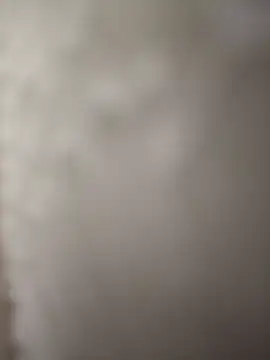 indianbull3684 online show from December 11, 2024, 8:07 pm