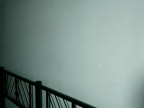 100Tauros online show from November 13, 2025, 10:30 pm