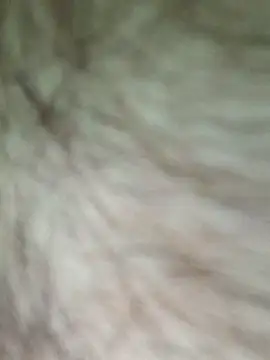 Snapshot of chubby_british_blonde_uk chatting on February 20, 2026, 12:38 pm chubby british blonde uk online show from February 20, 2026, 12:38 pm