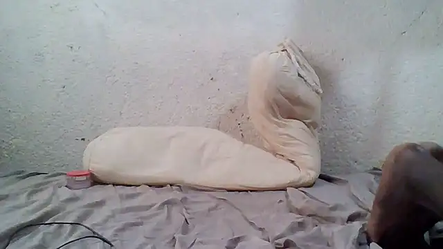 Snapshot of demo2004 chatting on October 17, 2025, 11:13 am demo2004 online show from October 17, 2025, 11:13 am