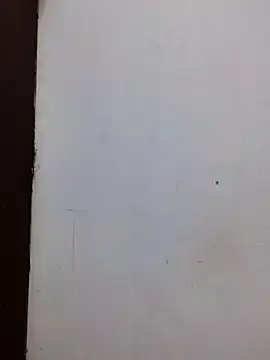 AmnionicDemeanor online show from November 2, 2025, 11:56 am