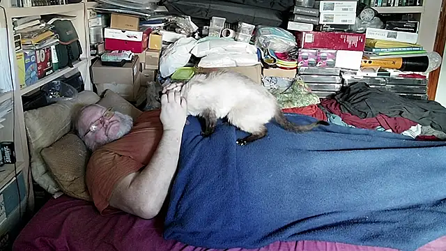 Snapshot of hadeszeuss2 chatting on December 12, 2024, 2:33 pm hadeszeuss2 online show from December 12, 2024, 2:33 pm