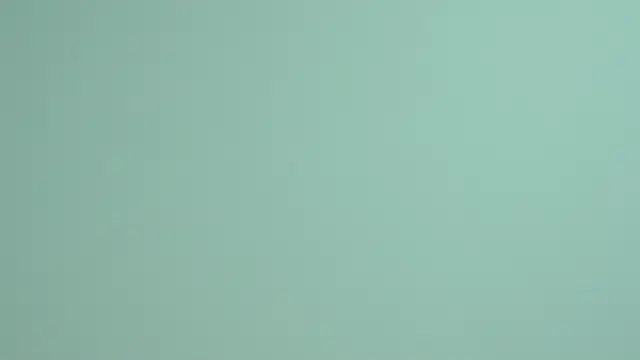 LessySmith online show from November 21, 2025, 4:05 pm