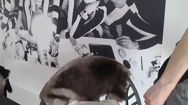 godinflower online show from February 21, 2026, 2:18 pm