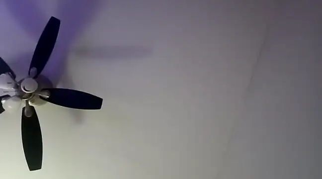 ChiRaqb8 online show from December 28, 2024, 5:33 am