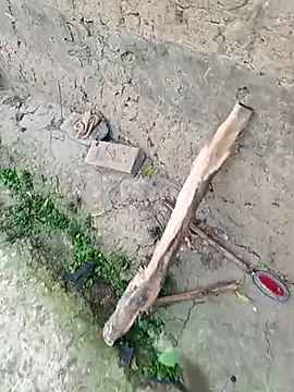 hairipussy2 online show from March 4, 2025, 12:50 am